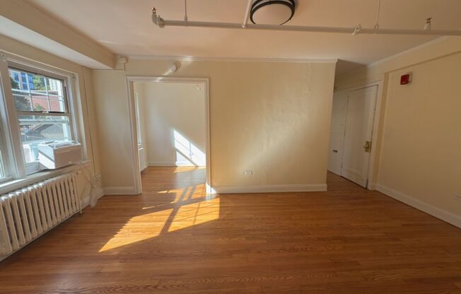 Studio, 1 bath, 301 sqft, $1,400, Unit Wellington 205
