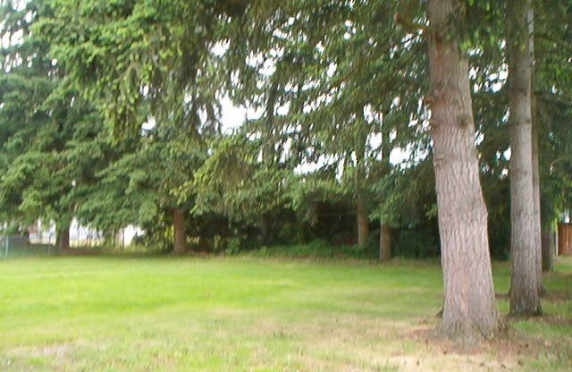 3-bedroom, 2-bath home single family home in Arlington $2895 per/mo