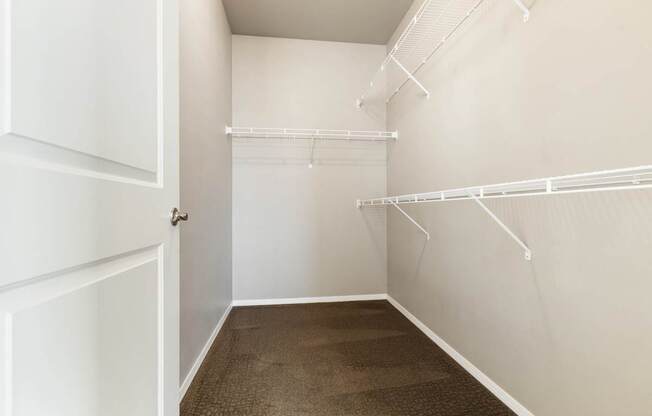 A white closet with a brown carpet.