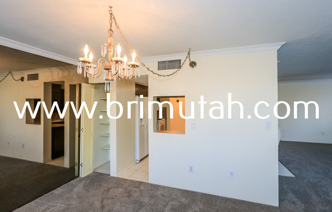 241 N VINE ST