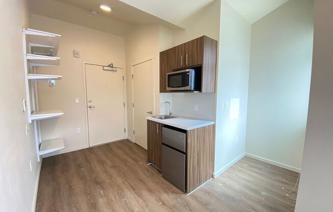 Studio, 1 bath, 175 sqft, $1,099, Unit 517