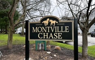 42 GENOBLE RD
