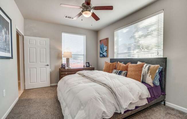Bedroom facing exterior windows with ceiling fan and dresser next to bed