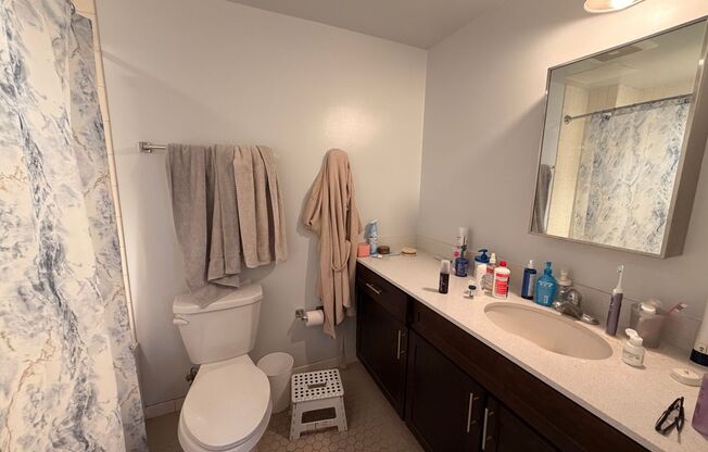 1 bed, 1 bath, 651 sqft, $1,850, Unit 502
