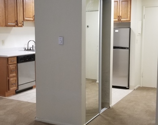 Studio, 1 bath, 446 sqft, $1,299, Unit 205