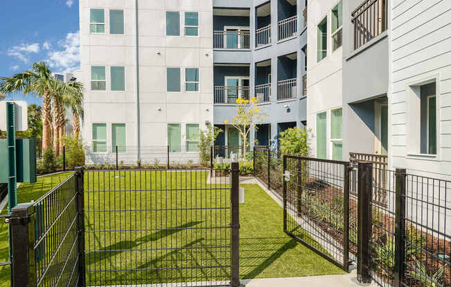 Apartments with a Pet Park at Aurora Luxury Apartments in Downtown Tampa FL