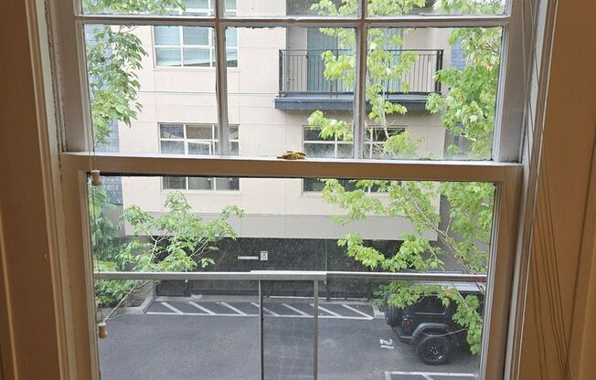 Studio, 1 bath, 337 sqft, $1,249, Unit 25