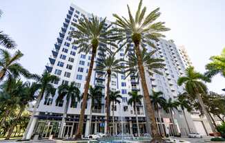 a tall building with palm trees in front of it and a pool