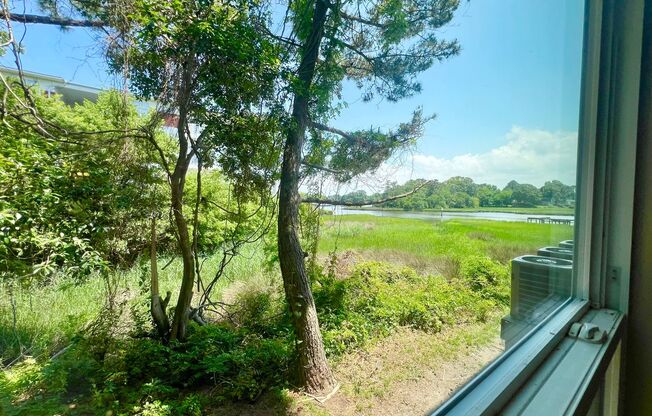 2 beds, 2 baths, 950 sqft, $1,740, Unit 2111-10 R