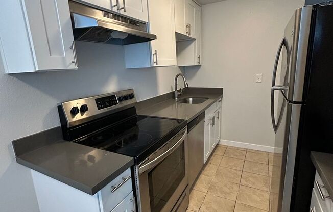 1 bed, 1 bath, 700 sqft, $1,595, Unit 102