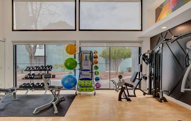 A gym with a variety of equipment and a view of trees outside the window.