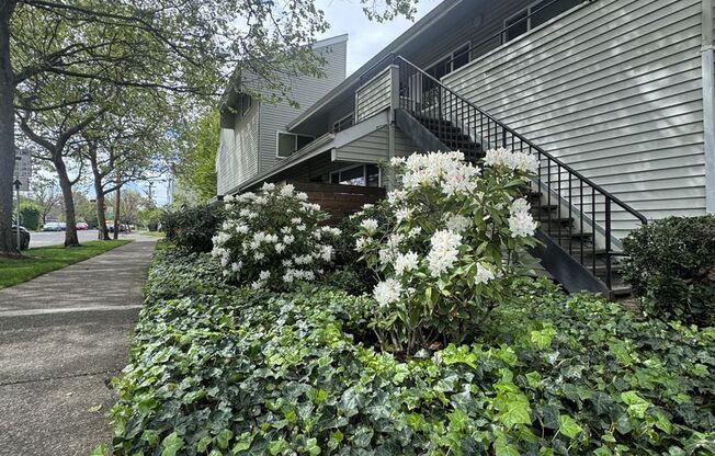 1 bed, 1 bath, $1,200, Unit 26