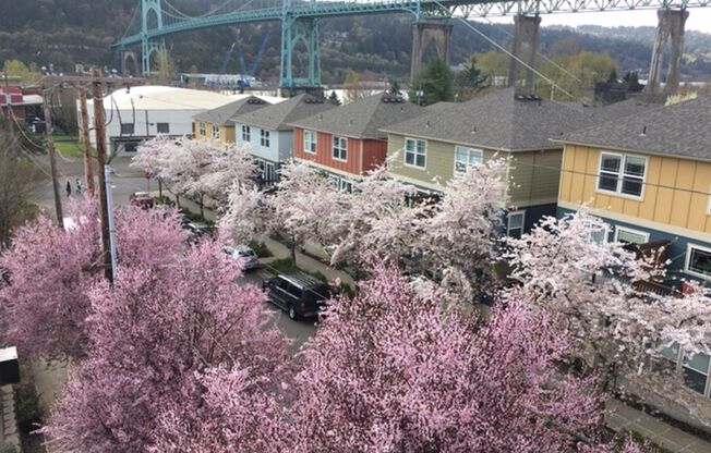 1 bed, 1 bath, 546 sqft, $1,405, Unit 3-218