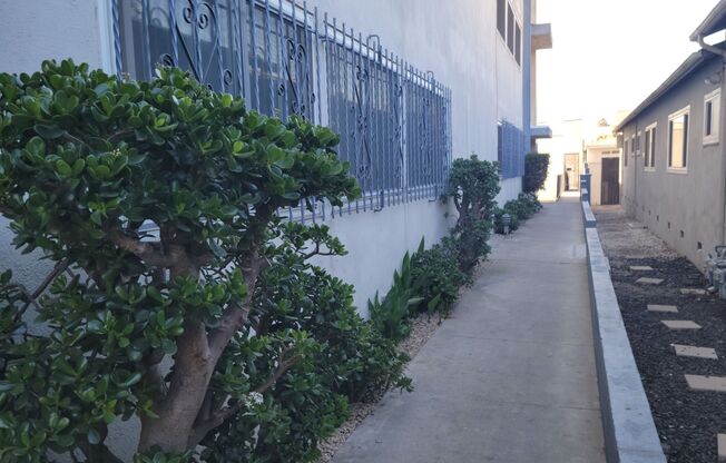 623 S. Grevillea Ave