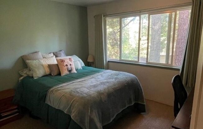 3 beds, 2 baths, $3,100