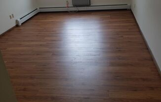 Studio, 1 bath, $620, Unit 207