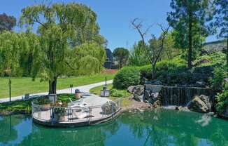 Serenity at Larkspur