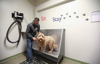 a man is washing a dog in a tub