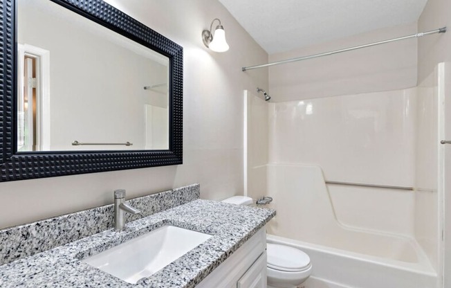 a bathroom with a sink and a mirror and a toilet