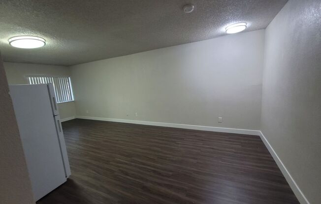 Studio, 1 bath, 274 sqft, $1,395, Unit 313A - 313A-1