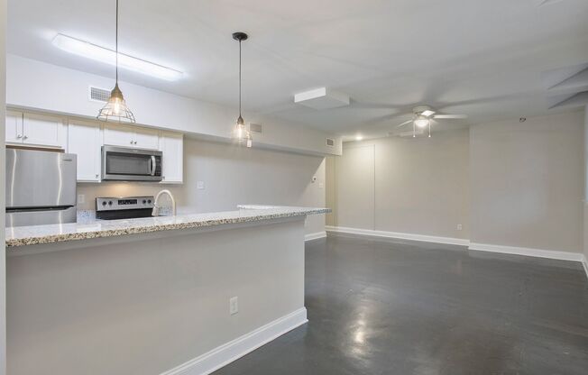 1 bed, 1 bath, 1,000 sqft, $1,375, Unit APT B