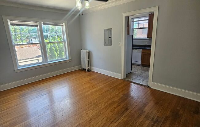 Beautiful Vintage Apartments Near Downtown Evanston