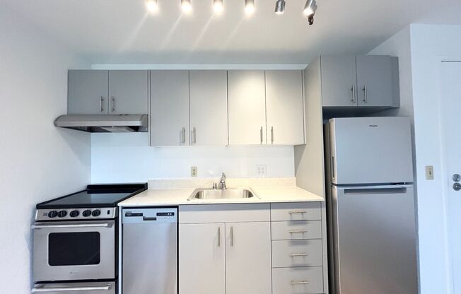 1 bed, 1 bath, 480 sqft, $1,595, Unit 202