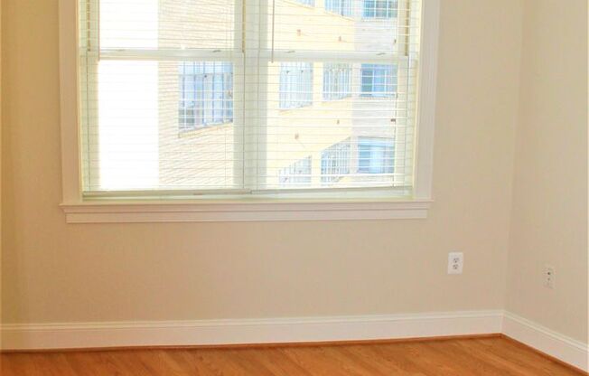1 bed, 1 bath, 550 sqft, $2,650, Unit 404