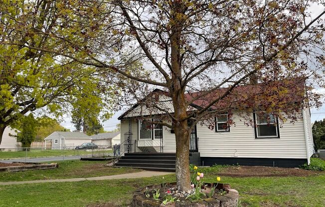 Audubon-Downriver Neighborhood 3+ bedroom, 1 bath corner lot with large, fenced yard