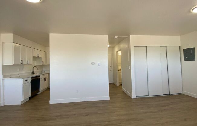Studio, 1 bath, 405 sqft, $995, Unit Unit 310
