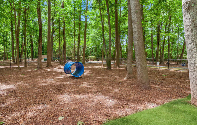 community dog park