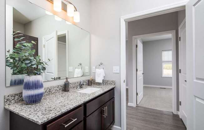 A bathroom with a sink, mirror, and a plant.