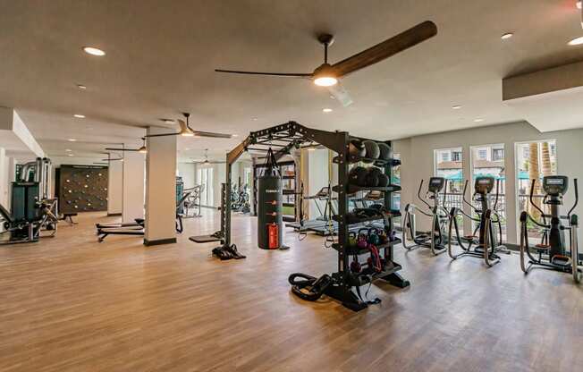 Modern fit studio at Harrison Apartments, Sarasota, FL, 34243
