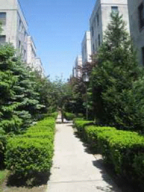 2138 35 ST