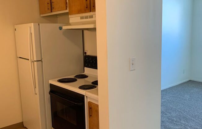 2 beds, 1 bath, 550 sqft, $725, Unit 1119-101
