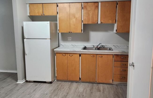 Newly remodeled 1 bedroom with 1 bathroom