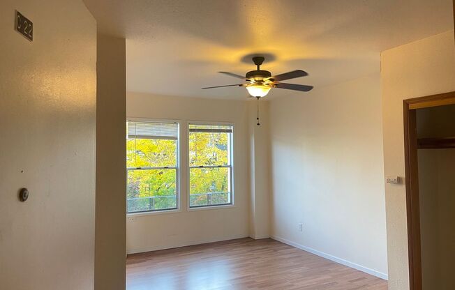 Studio, 1 bath, 400 sqft, $1,225, Unit C22