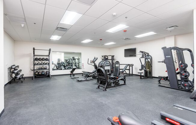 Studio, 1 bath, 555 sqft, $1,550, Unit 213