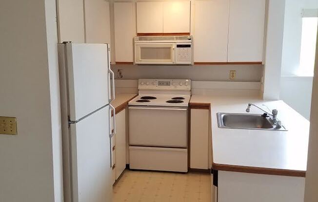 Great Apartment in the Heart of Ballard.