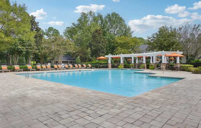A large swimming pool surrounded by trees and sun loungers.