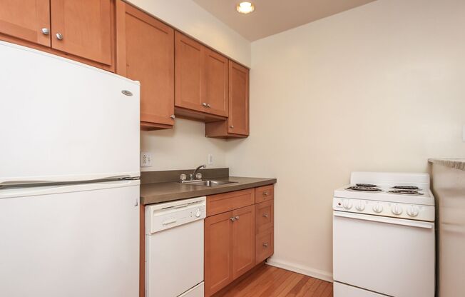 1 bed, 1 bath, 383 sqft, $1,699, Unit 1309-3