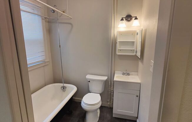 Studio, 1 bath, 306 sqft, $1,295, Unit 100