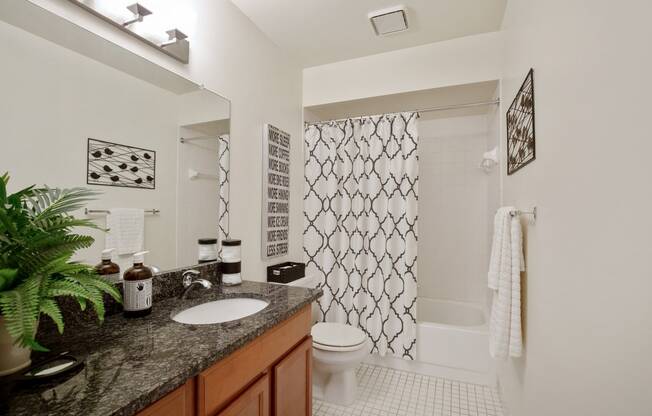 Mirage Upgrade Bathroom at Lakeside Village Apartments Clinton Township MI