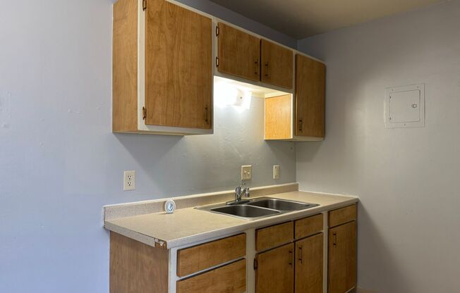 1 bed, 1 bath, 465 sqft, $625, Unit 1119-312