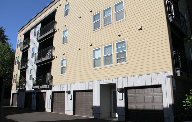 1 bed, 1 bath, 551 sqft, $1,410, Unit 2-113