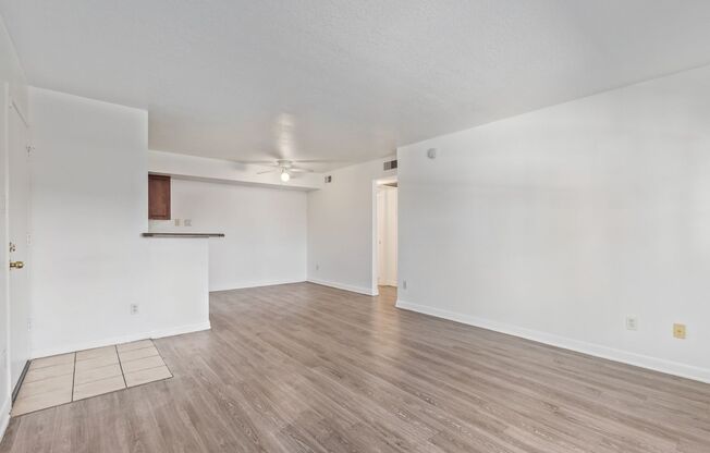 1 bed, 1 bath, 736 sqft, $1,500, Unit 2084