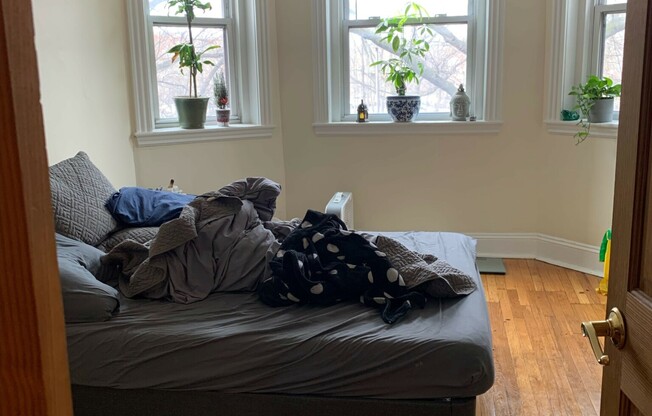 2 beds, 1 bath, $2,950, Unit 4