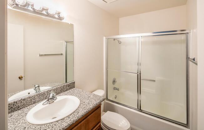 a shower that has a sink and a mirror