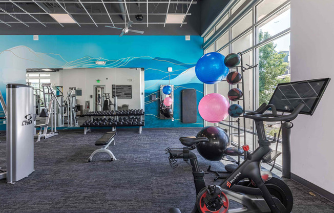 the gym has a variety of exercise equipment and a blue wall with balloons