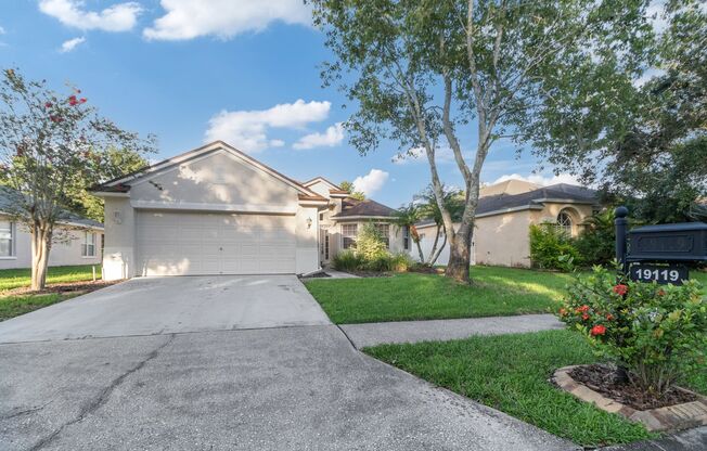 4 bed, 2 Bath New Tampa Home for Lease!